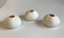 Load image into Gallery viewer, Urchin Tealight Holder with gold dribble