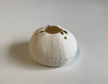 Load image into Gallery viewer, Urchin Tealight Holder with gold dribble