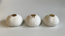 Load image into Gallery viewer, Urchin Tealight Holder with gold dribble