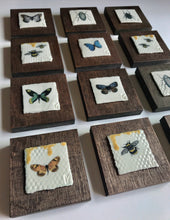 Load image into Gallery viewer, Insect Plaques