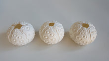 Load image into Gallery viewer, Round Porcelain Urchin with 24 carat gold dribble
