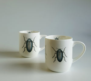 Insect Mugs