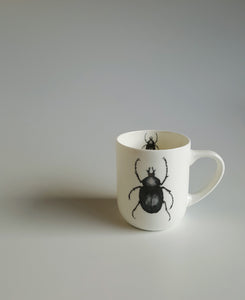 Insect Mugs