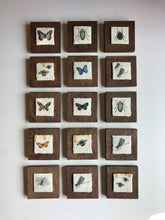 Load image into Gallery viewer, Insect Plaques
