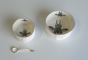 Ramekin dish with gold lustre rim and Insect illustration